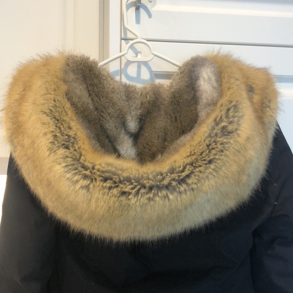 Babaton Gillian Parka - Picture 4 of 4